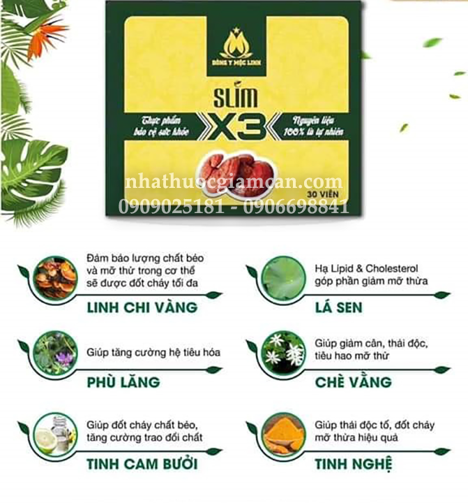 Thuốc Giảm Cân Việt Nam Slim X3 Đông Y Mộc Linh 6